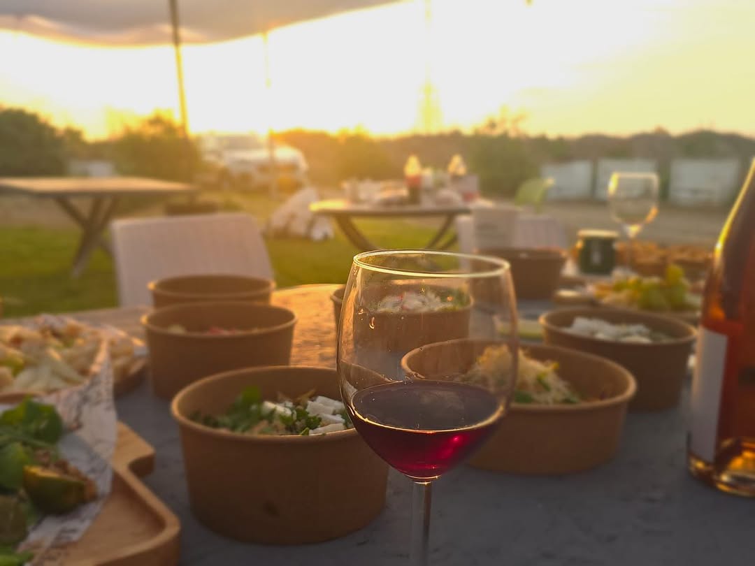 שקיעה מרהיבה במטע