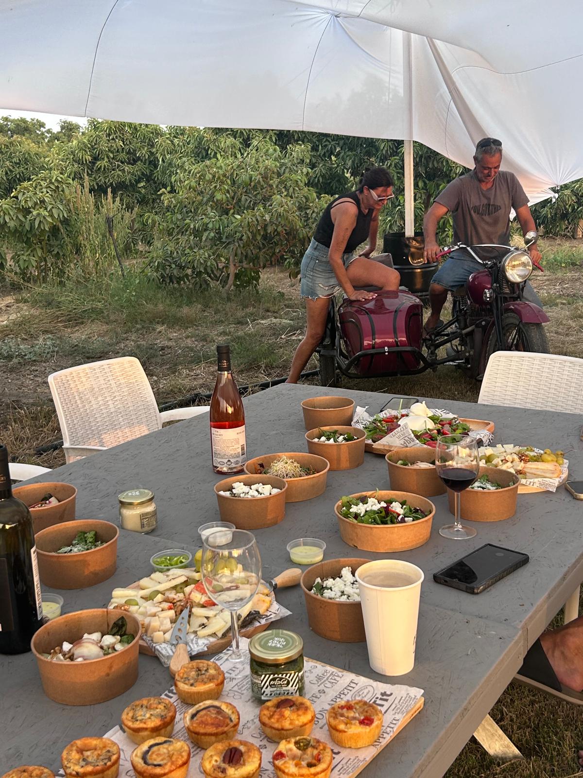 מפנק ומגוון